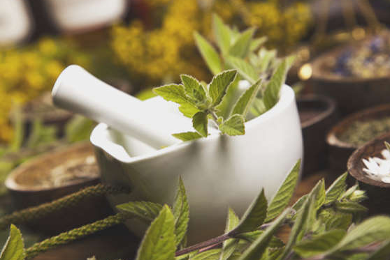 Tradmedtalks's tweet photo. Toxic component in #herbal #remedies to kidney failure and #Cancer- A component of a plant used in #herbalremedies since ancient times, leads to kidney failure and upper #urinary tract #cancer in individuals exposed to the toxin https://t.co/4oaGO4hRef