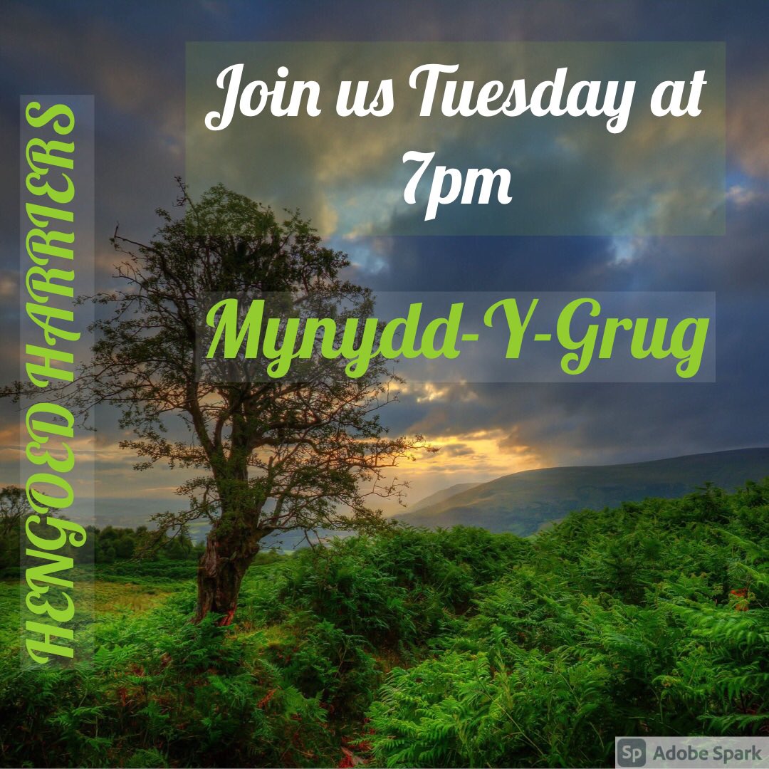 Tuesday at 7pm we will meet on Mynydd-Y-Grug Common to get there go up the lane past bryn Meadows Golf Club NP12 2RB, stay on this road to the very top, over the cattle grid and the road will turn to dirt track, park in the open area at the top - all abilities welcome, 👉