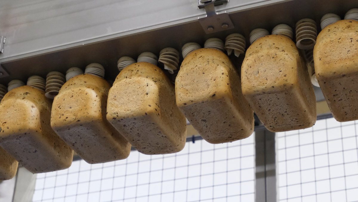 JustGFBakery's tweet image. We are hard at it this Monday baking JUST Great bread, our seeded loaf is coming off the production line.  Have you got yours? Check out our online shop if not, link in the bio!

#seededbread #glutenfree #allergenfree #veganbread #gflife #coeliacapproved