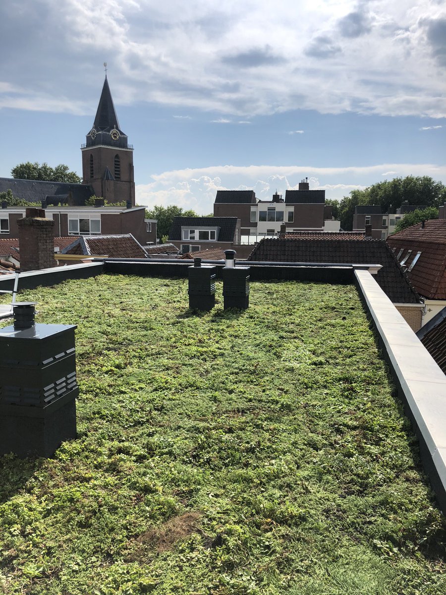 LarboardEstate's tweet image. Vandaag 80 m2 #sedum geplaatst op het dak in de Rijnstraat #Woerden. Veel dank aan de mensen van @Groendak #klimaatbestendig #groenedaken