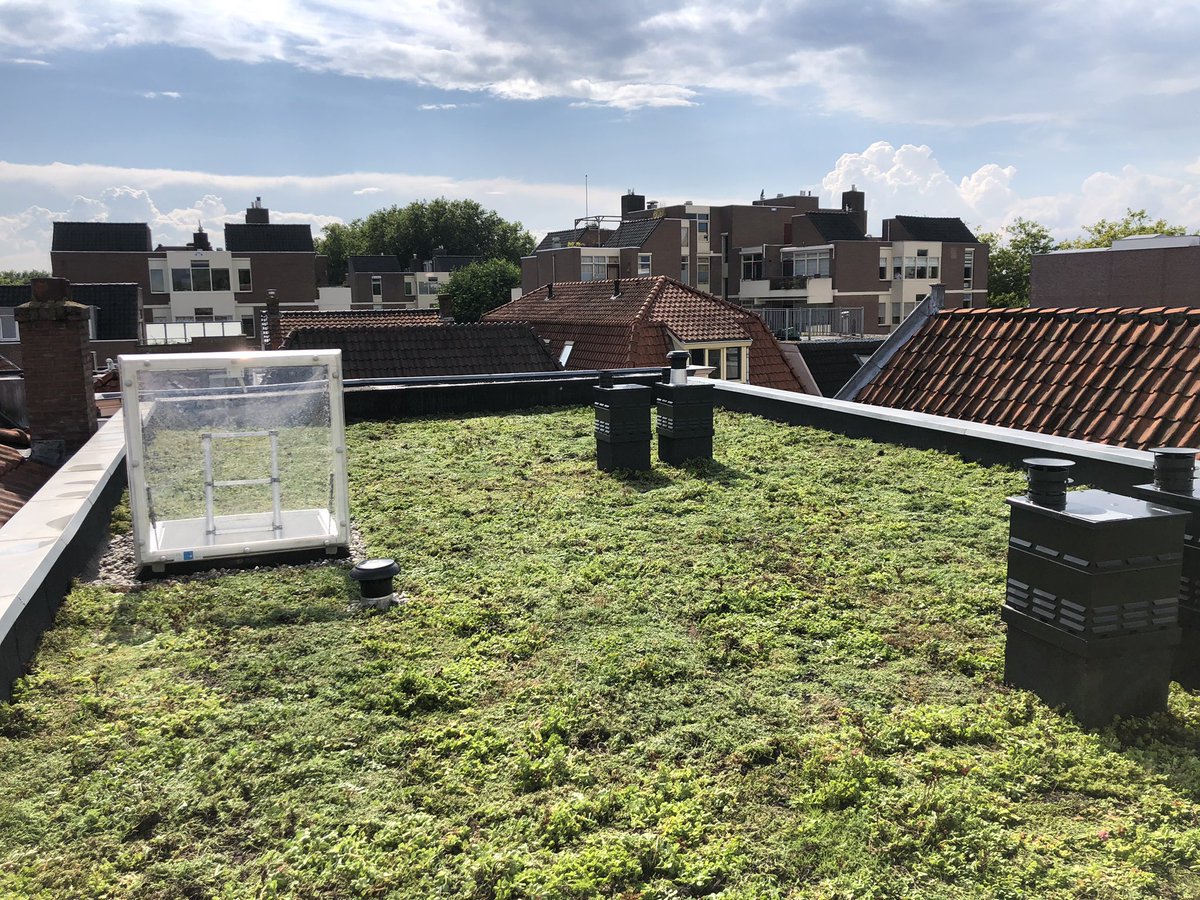 LarboardEstate's tweet image. Vandaag 80 m2 #sedum geplaatst op het dak in de Rijnstraat #Woerden. Veel dank aan de mensen van @Groendak #klimaatbestendig #groenedaken