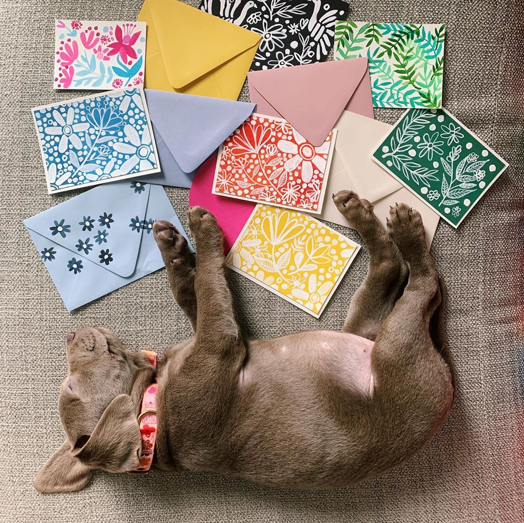 Paper_Source's tweet photo. Opening all your fan mail can be tiring when you are this cute. Create your own mix and match stationery like @papergarten with #colorful finds from the #paperbar.
#papersource #puppersource #rainbow #handmade #stationery #PSmailroommonday #puppiesofinstagram https://t.co/ALzaJODVGf