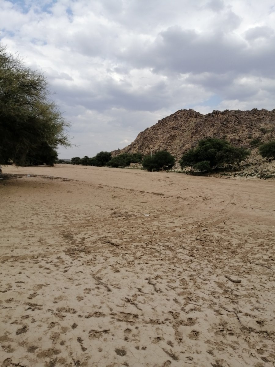 mm1ff38's tweet photo. @NajranRain طبيعة شمال #نجران عصر اليوم https://t.co/nGWKS3pKiQ