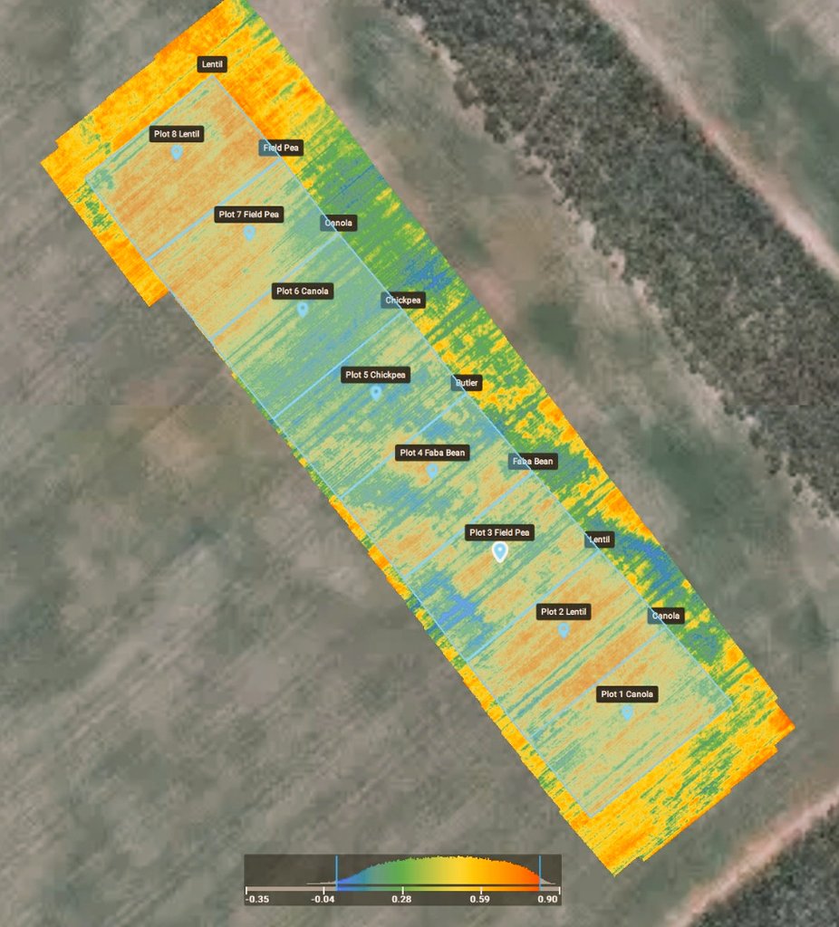Finally tried out P4 Mutlispectral on SEPWA 2019 Break Crop site at Beaumont on Saturday both flying mission and using Pix4d. Good fun