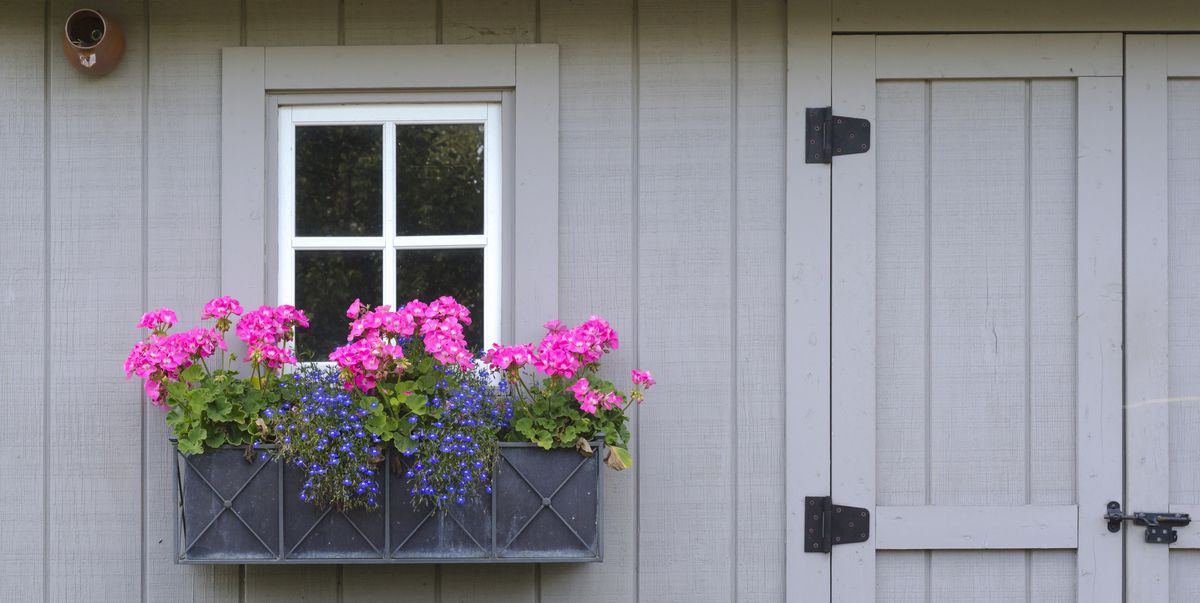 AssociatedGlas's tweet photo. 20 Window Box Ideas for Guaranteed Curb Appeal

Whether you need inspiration to buy or DIY, we've found some gorgeous designs.

https://t.co/Tik9agY7Tb

#DoubleGlazing #SkyLights #FrenchDoors #HomeImprovements #HomeDesign #HomeInProgress #LondonWindows https://t.co/wjwJipOhkb