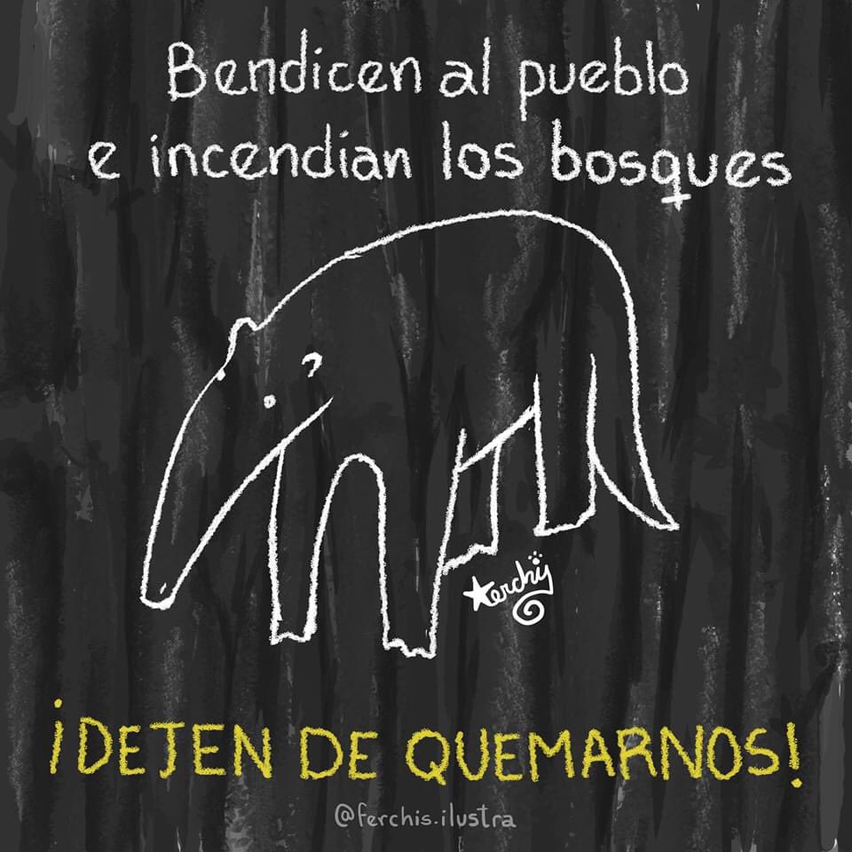 💪🏽🔥😡
#AbrogacionPaqueteIncendiarioYA
#MedioAmbienteBolivia