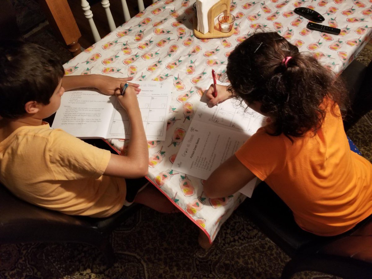 The #FCPSGrowAtHome Activity Packet helps kids make observations of their green bean plant as it grows! Learn about the six plant parts, recycling, &amp; what plants need in order to grow into delicious veggies. Thank you <a href="/FarmtoSchool/">National Farm to School Network</a> for the funding to make these packets a reality!