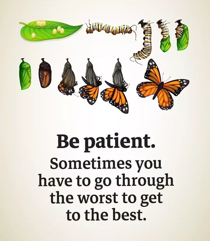 ParasVSoni's tweet photo. #BePatientWithTheProcess
#MondayMotivation 
#OneHelpCanChangeManyLives https://t.co/QkYslCraGC