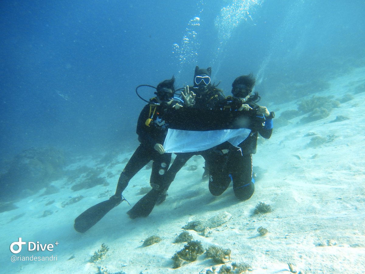 wita_desandri's tweet photo. Not need 1000 divers to hold an independence day ceremony underwater. Happy 75, Indonesia! #komodoislands #divekomodo #idive #HUTRI75 #dirgahayuindonesia #IndependenceDay2020 https://t.co/WbwJ0N2xBU