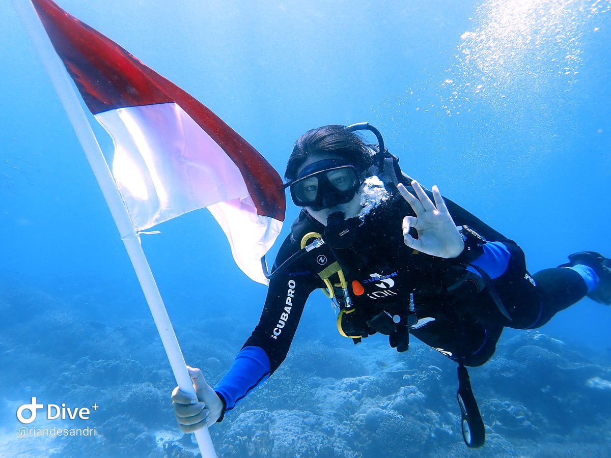 wita_desandri's tweet photo. Not need 1000 divers to hold an independence day ceremony underwater. Happy 75, Indonesia! #komodoislands #divekomodo #idive #HUTRI75 #dirgahayuindonesia #IndependenceDay2020 https://t.co/WbwJ0N2xBU