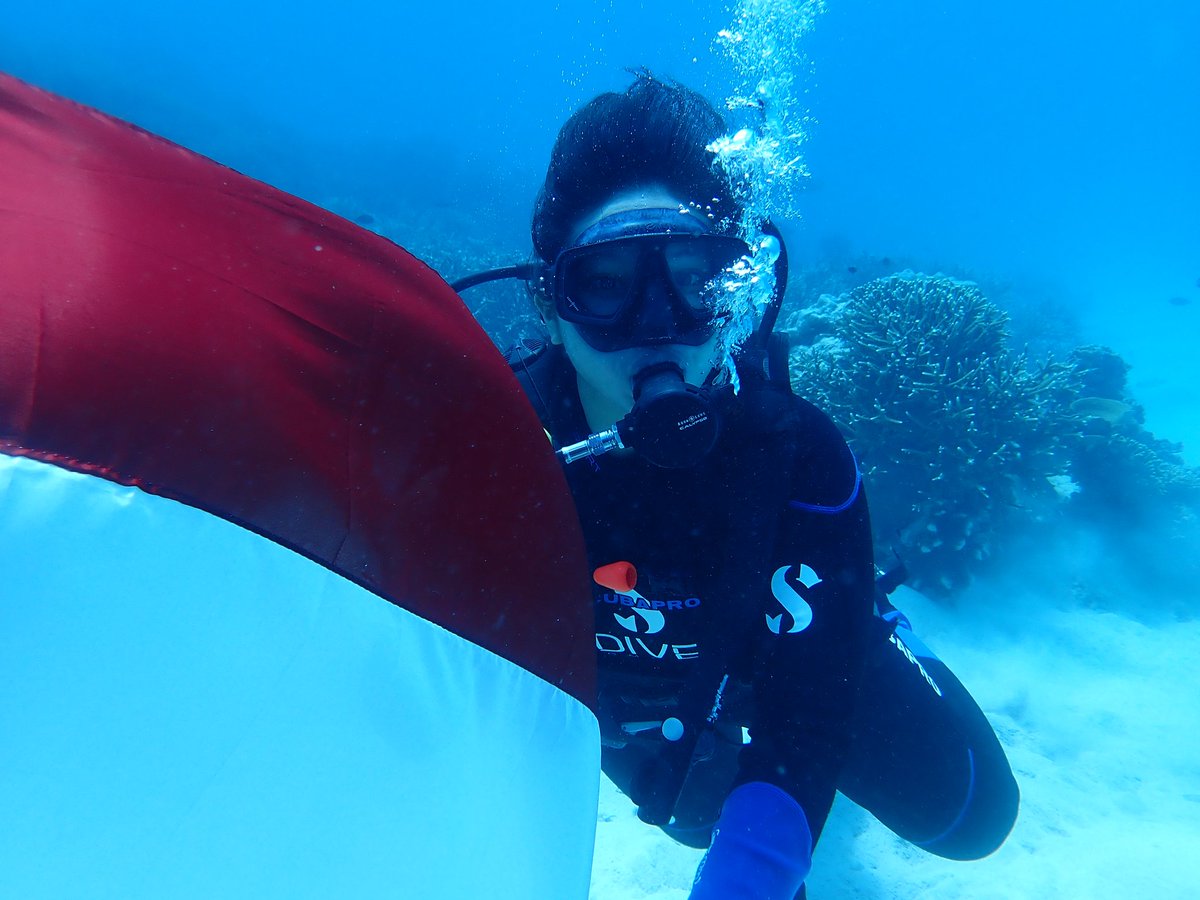 wita_desandri's tweet photo. Not need 1000 divers to hold an independence day ceremony underwater. Happy 75, Indonesia! #komodoislands #divekomodo #idive #HUTRI75 #dirgahayuindonesia #IndependenceDay2020 https://t.co/WbwJ0N2xBU