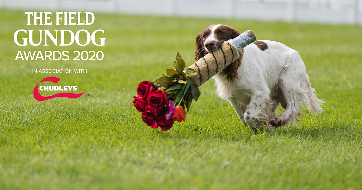 Have you decided your winner for Gundog Photograph of the Year yet? Cast your vote TODAY and be in with a chance of winning a bag of  <a href="/ChudleysDog/">Chudleys</a> feed, fuelling gundogs for generations bit.ly/GundogAwardsVo… #FieldGundogAwards #ChooseChudleys