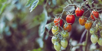 EarthAccounting's tweet photo. #Organic #Farming Protects Communities from Toxic Chemicals https://t.co/IOohmRglYY #health https://t.co/UC6VVqpjUH