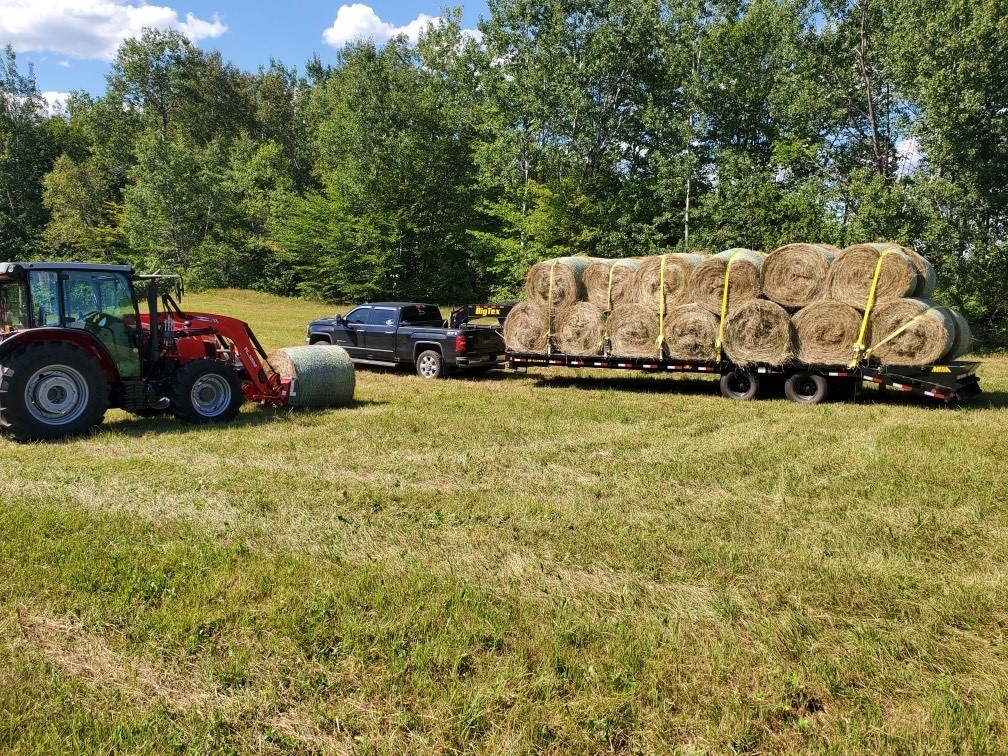 BeauregardEquip's tweet photo. JK Quarter Horses in Benedicta, ME putting up some serious hay with their new Massey Ferguson 4708! #makehaywhilethesunshines #masseyferguson #beauregardequipment https://t.co/OT96lq70PC