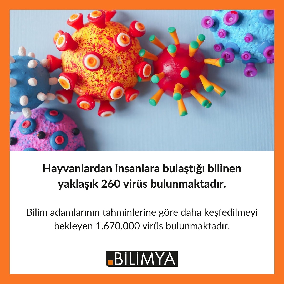 Kaynak: livescience.com/61848-scientis…

Hazırlayan: <a href="/koraysekeroglu/">Koray Şekeroğlu</a> 

#virüs #koronavirüs #sağlık #tıp #bilim #bilimsel #bilimya #biliminsanı #ilginç #viroloji #hastalık