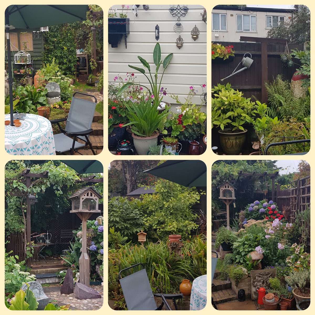 Commoninsense's tweet image. Our little garden