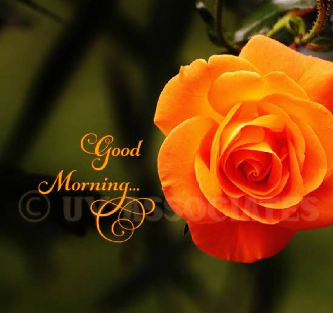 சரி, Plain Images ஆ இருக்குதே ன்னு யோசிக்கிறீரங்களா... அப்படின்னா இந்த Samples ஆ பாருங்க..! 