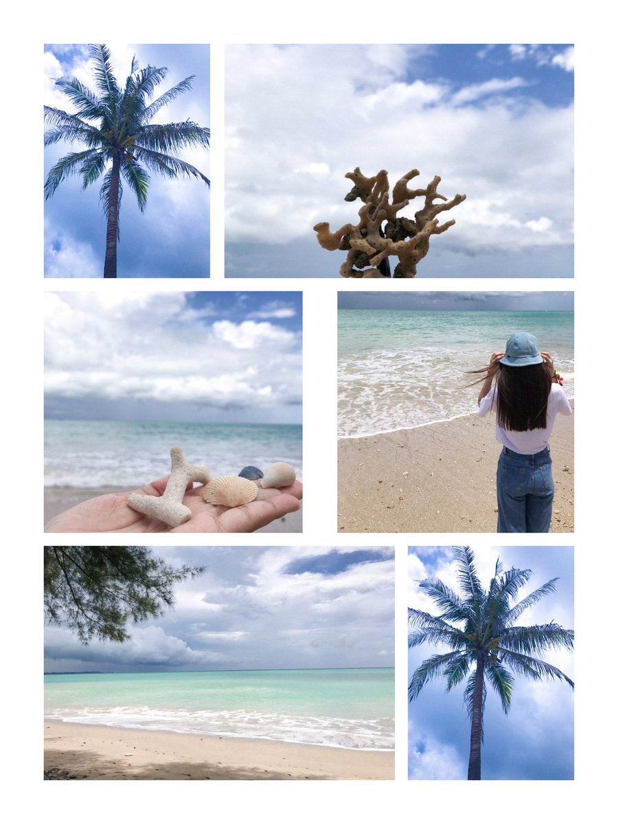 PatchaTy's tweet image. เธออาจเหน็บหนาวทุกคราวที่เจอะคลื่นลม ~ 🌴🌊🐚 #เที่ยวทะเล #คนชอบเที่ยว