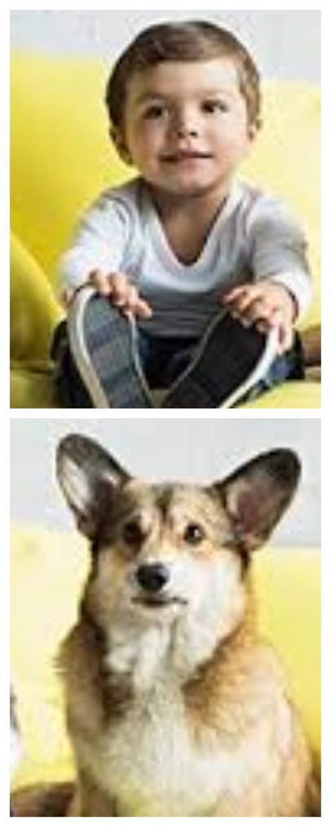 இன்னும் சில Samples:இரண்டு Objects அ ஒரே Imageஆ Combine பண்ணி குடுத்திருக்கேன்.! நீங்களே பாருங்க.., டிவிட்டர் அதுல எது focus பண்றான்னு..! (IMAGES அ Open பண்ணி பாருங்க புரியும்..!)