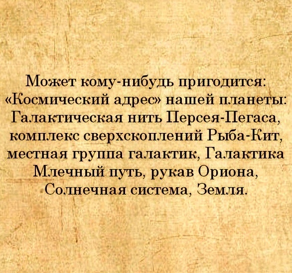 Пьяный Твиттер (@drunktwi) on Twitter photo 