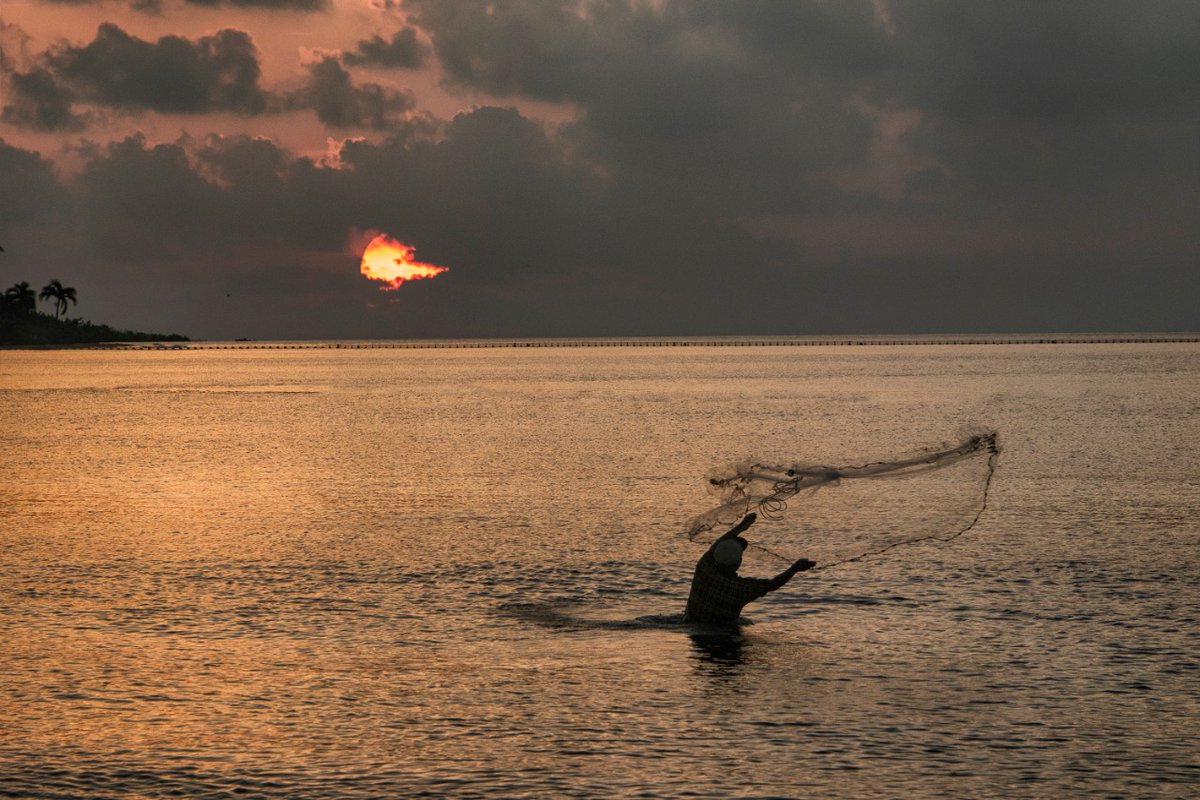 LauraBeristain's tweet photo. #Dios nos otorga la madre naturaleza, es nuestra misión amarla, cuidarla y observar para tener lindas emociones, respirar.
#FelizLunesATodos #playadelcarmen #rivieramaya @gobsolidaridad https://t.co/0BbCERVTLB