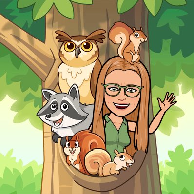 ChristineMckn18's tweet photo. See you tonight at virtual meet the teacher- I can’t wait to get this school year started ! #BryantPride. #BESPride https://t.co/qTR65JbszT