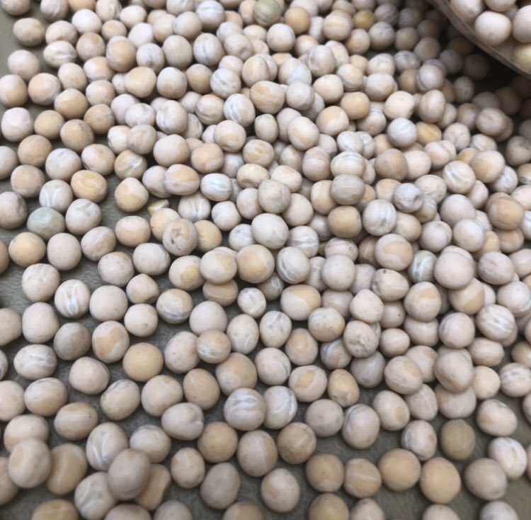 First load of new crop peas this morning at GrainsConnect Huxley. Looking good. #harvest2020