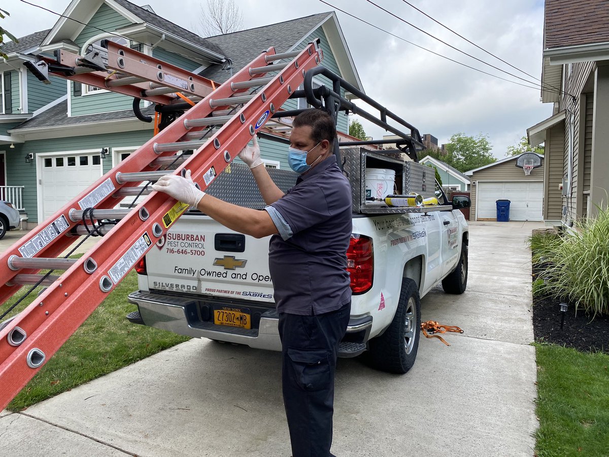 suburban_pest's tweet photo. Whether it’s bees, ants, or bats, call us today at 716-646-5700 for all of your pest requests! https://t.co/IKQ9GaGVBg