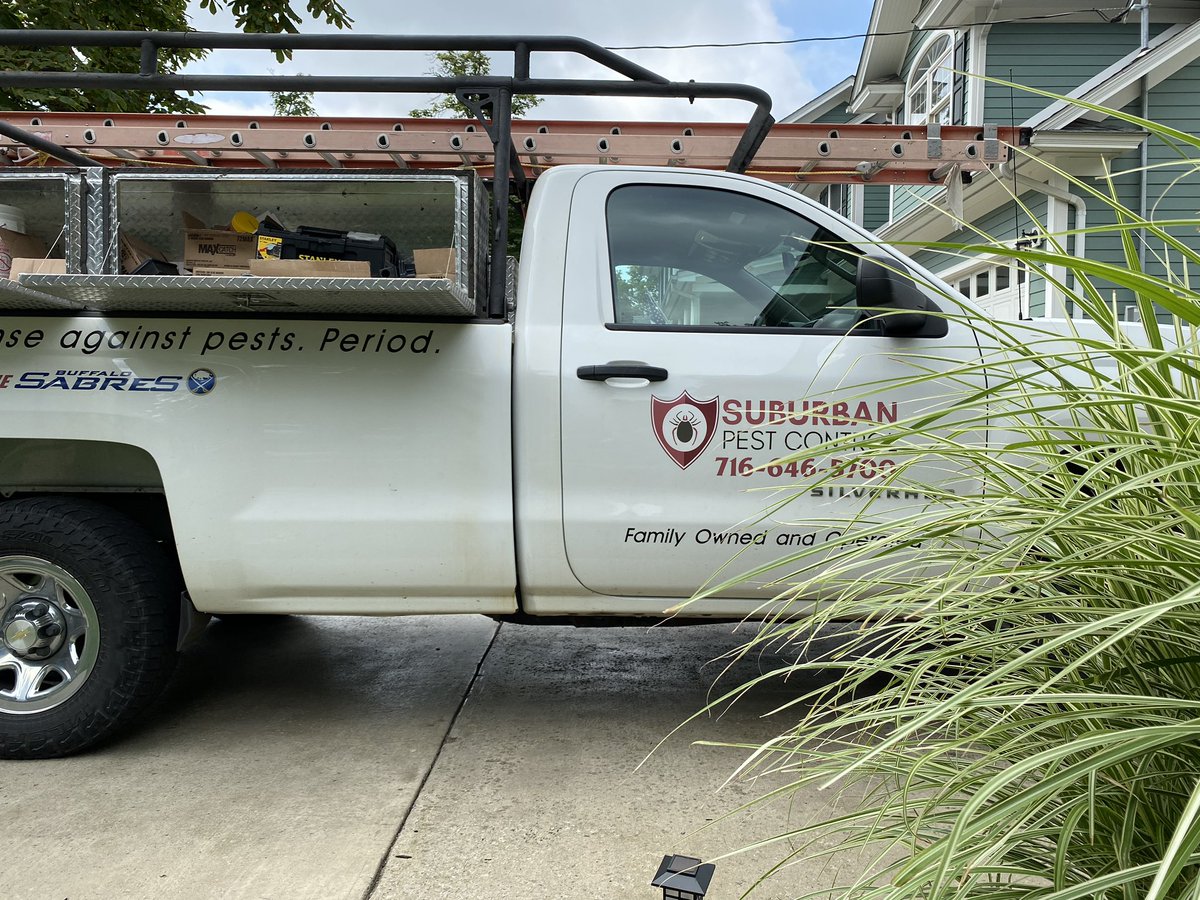 suburban_pest's tweet photo. Whether it’s bees, ants, or bats, call us today at 716-646-5700 for all of your pest requests! https://t.co/IKQ9GaGVBg