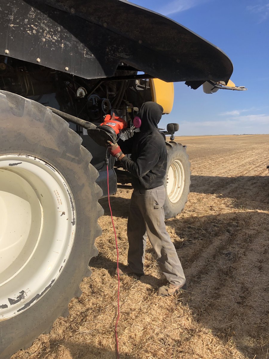 Morning risk mitigation - Pea dust begone!  <a href="/SaskPulse/">Saskatchewan Pulse Growers</a> #harvest2020