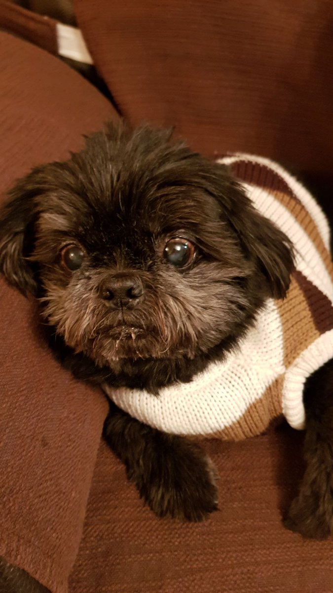 Alejandro LL. tweet media