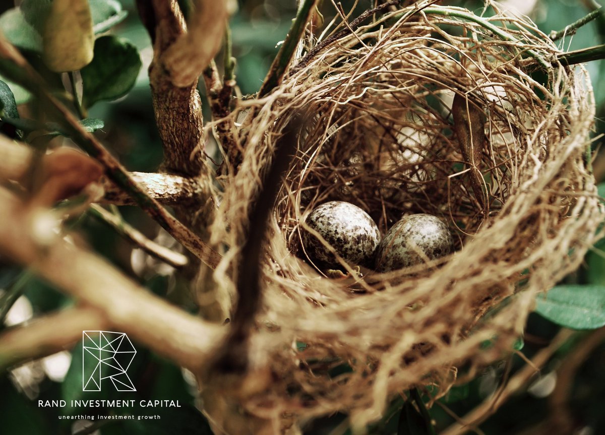 RandCapitalSA tweet picture