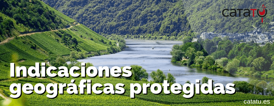 Si te gustan los vinos y disfrutas de todas sus variedades, debes que conocer qué son los Vinos de la Tierra y por tanto que es un IGP (indicación Geográfica Protegida). En CataTú te lo contamos. buff.ly/2DgXzXB vía: <a href="/CataTu_es/">Catatu_es</a> <a href="/cortijotrifilla/">Cortijo Trifillas</a> <a href="/altapavina/">Alta Pavina</a> <a href="/TierraSavia/">Tierra Savia</a>