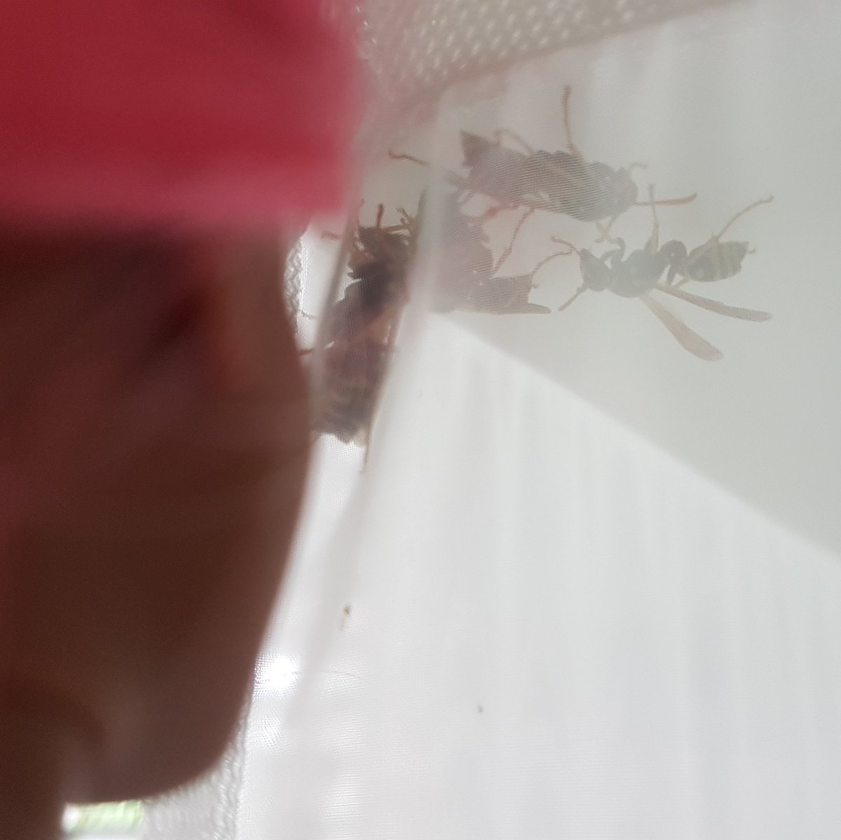 Time to take a closer look!