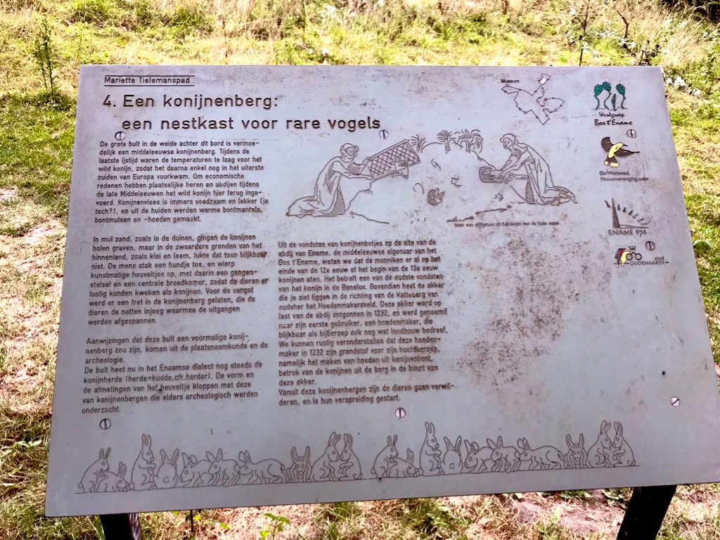 Hou je klaar voor 12km spoorzoeken doorheen #Oudenaarde op #OMD2020 13 september #Spoorzoekersopwandel 👇🏻oost-vlaanderen.be/openmonumenten… getest 🥾en goedgekeurd✔️ #archeologie #wandeling <a href="/oost_vlaanderen/">Provincie Oost-Vlaanderen</a> <a href="/ToerismeOVL/">Oost-Vlaanderen</a> @heritavl