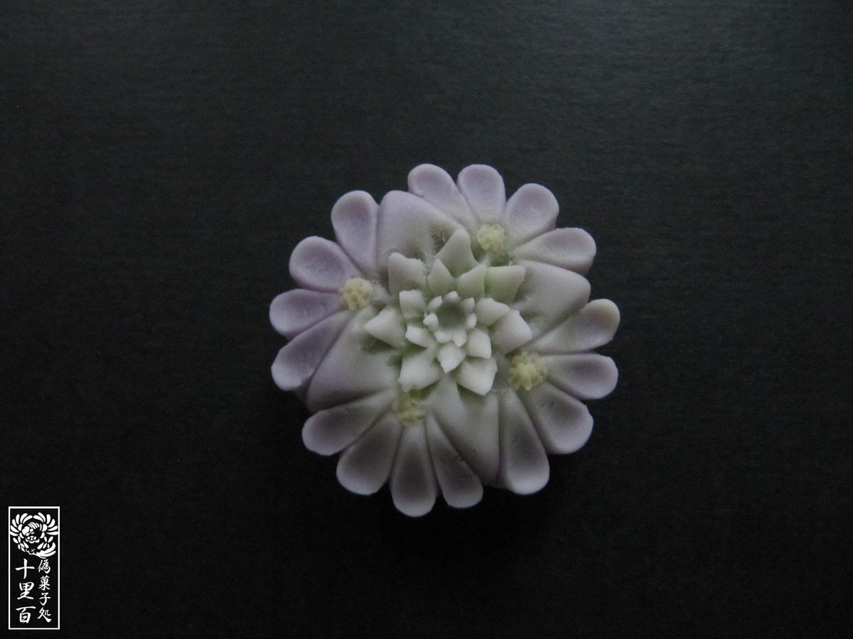 十里百 8 18の誕生花はブルーファンフラワー 花言葉 あふれる可能性 8 18生まれの方お誕生日おめでとうございます 十里百誕生花和菓子化計画 十里百 8 18の誕生花はブルーファンフラワー 花言葉 あふれる可能性 8 18生まれの方お誕生日おめでとうございます 十里百誕生花和菓子化計画