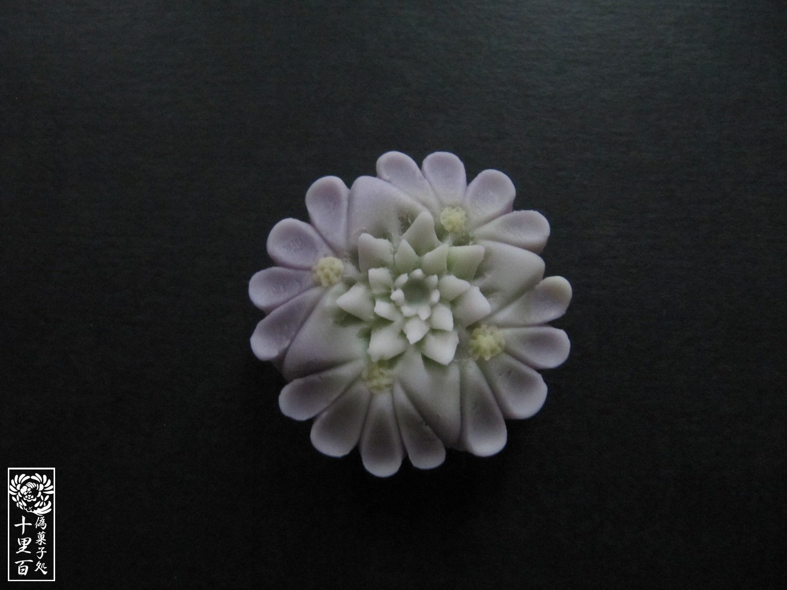 تويتر 十里百 على تويتر 8 18の誕生花はブルーファンフラワー 花言葉 あふれる可能性 8 18生まれの方お誕生日おめでとうございます 十里百誕生花和菓子化計画 T Co Frij8igrp8 تويتر 十里百 على تويتر 8 18の誕生花はブルーファンフラワー 花言葉 あふれる可能性 8 18生まれの方お誕生日おめでとうございます 十里百誕生花和菓子化計画 T Co Frij8igrp8