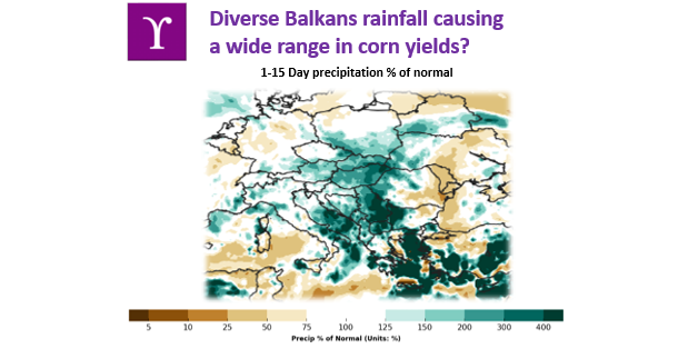CropYield's tweet photo. The rain pattern for the Balkans continues as it has been throughout the #corn growing season: very wet in the West, while drier in the East. 
YPSILON provides accurate corn yields throughout Europe basis the latest satellite technology. Contact us to find out more!
#harvest2020 https://t.co/2VQyQtrsa1