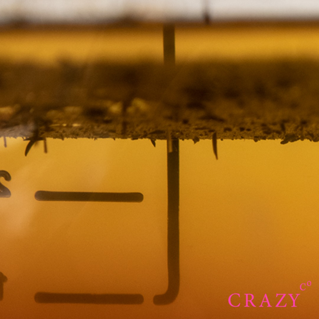 CrazyCo tweet media