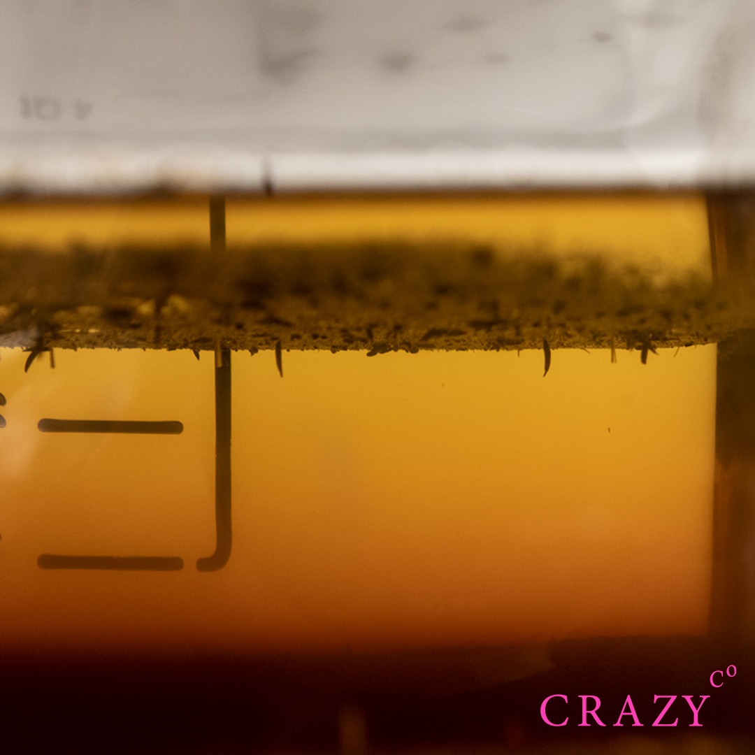 CrazyCo tweet media