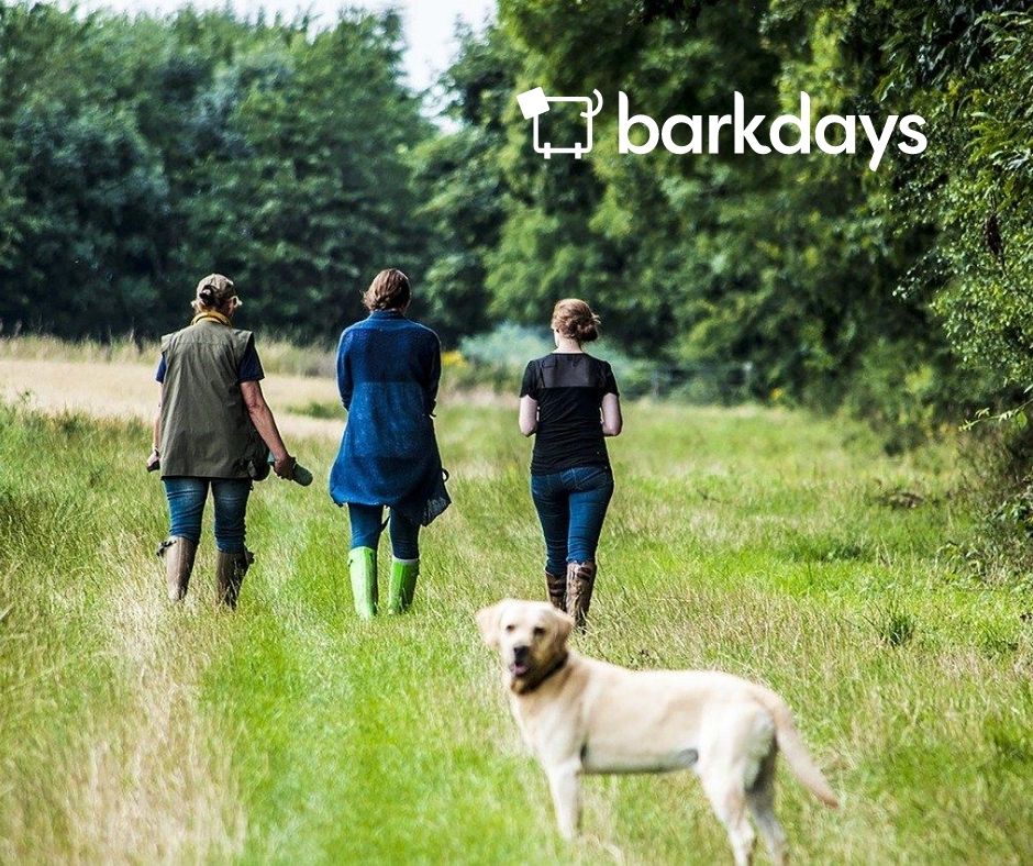 barkdays tweet picture
