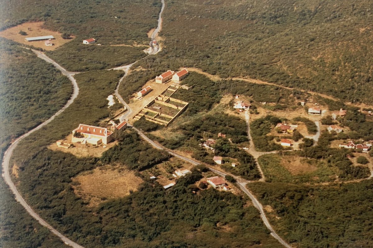 Na aña 1795 plantashi Knip tabata un di e plantashonnan mas grandi di Kòrsou. Pa motibunan deskonosí katibunan di e plantashi aki a haña un straf kolektivo ku tabata enserá redukshon di mantenshon semanal pa e katibunan.