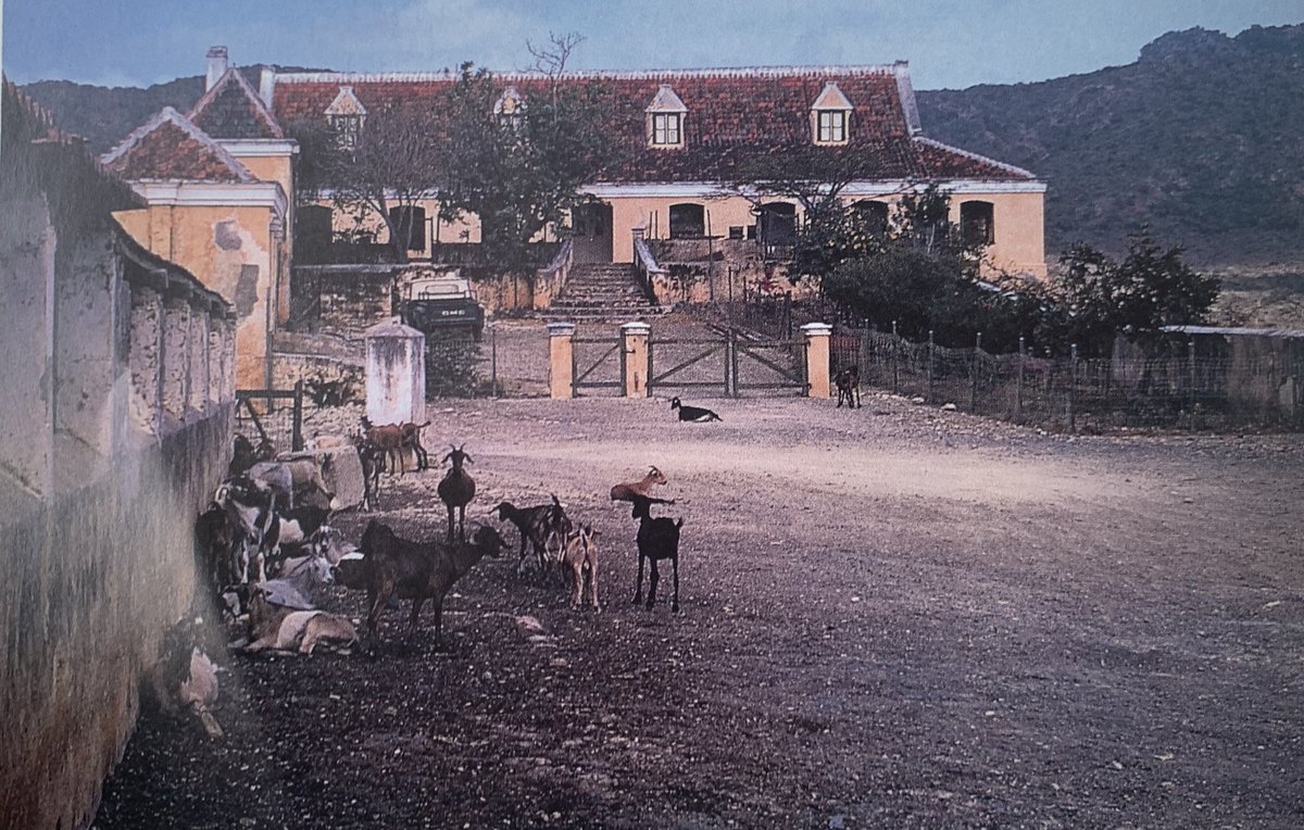 Den e tempu ei no tabata permití pa un katibu usa e porta prinsipal, pues e akshon aki ya kaba tabata desafiando òrdunan di shon.