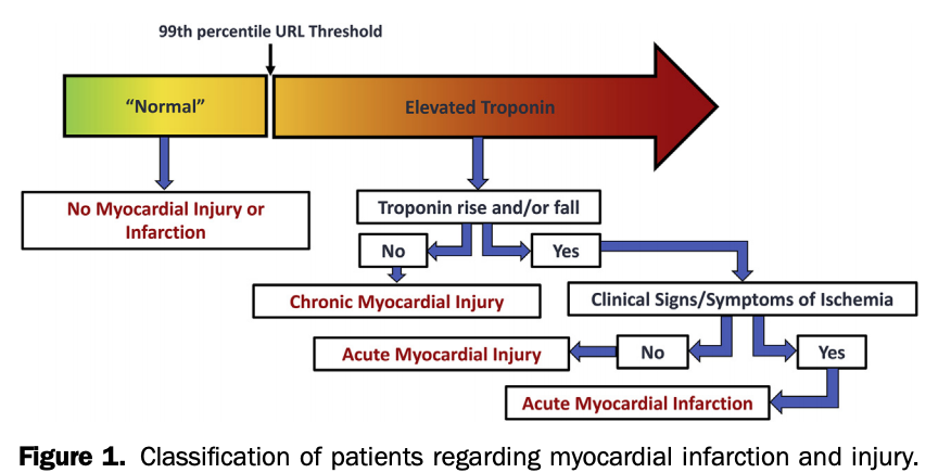 LWestafer's tweet image. Introducing hs-Troponin in the ED? Get ready for more elevated values without identifying more NSTEMIs #annalsaip @mummabem annemergmed.com/article/S0196-…