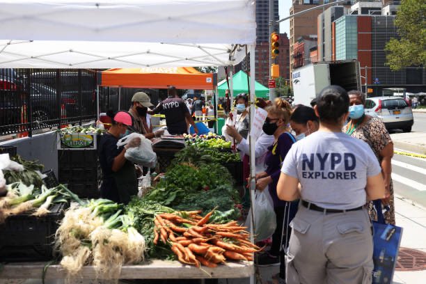 NYPDCollabPolic's tweet photo. Our Explorers and @NYCSeniors kick started the Seniors Farmers’ Market Nutrition Program!! The Explorers will find the grocery lists on a participating senior’s door and head to local farmers markets with federally funded vouchers 🥒🥦🥕

For more info ➡️ https://t.co/ghC5iceW37 https://t.co/LmacltkU2G