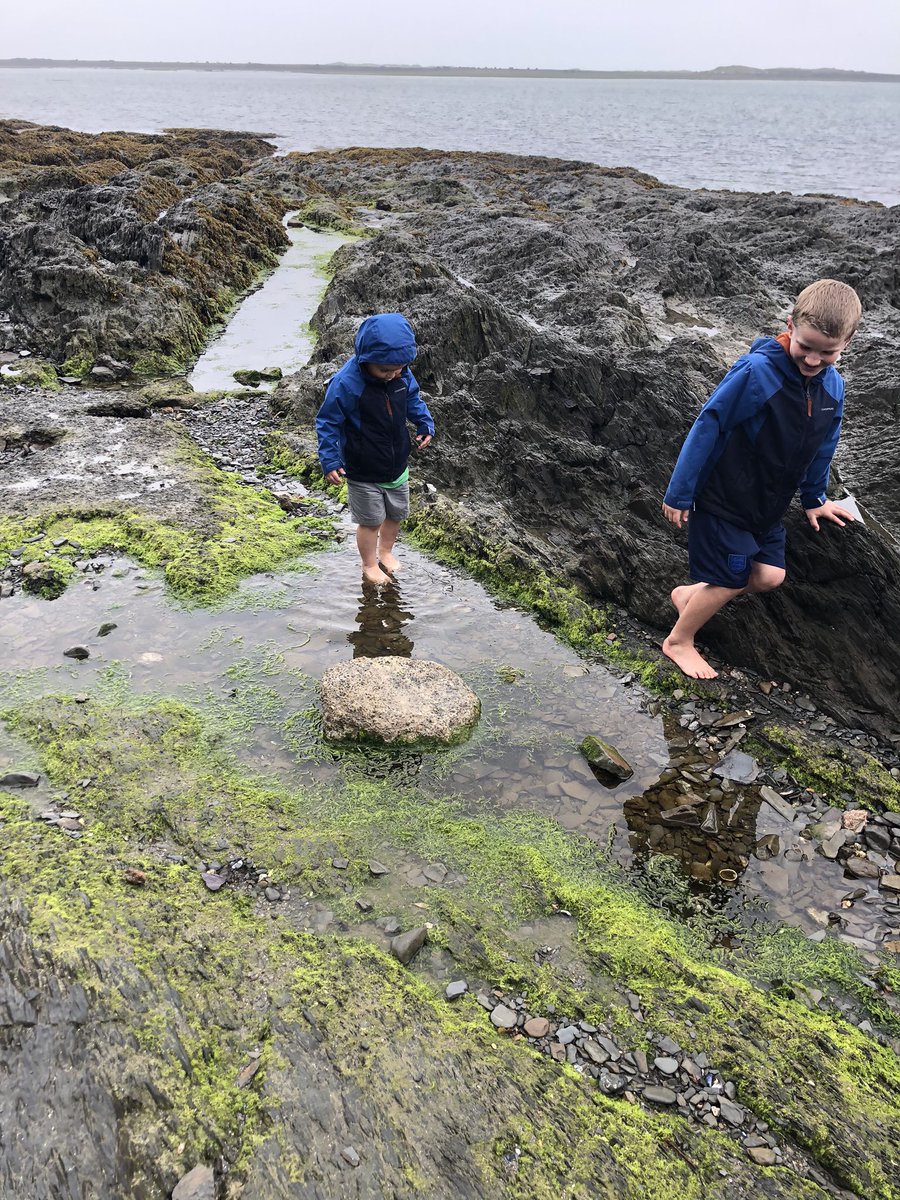 nicchambers16's tweet photo. First few days in Devon crabbing, body boarding and building sand castles. @MrsHarveyLW @MrsNeillLW https://t.co/28VI65Wdd2