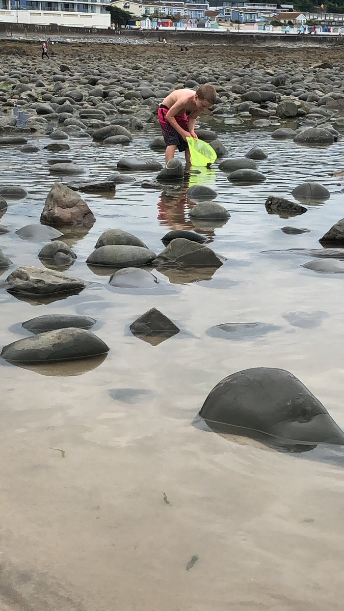 nicchambers16's tweet photo. First few days in Devon crabbing, body boarding and building sand castles. @MrsHarveyLW @MrsNeillLW https://t.co/28VI65Wdd2
