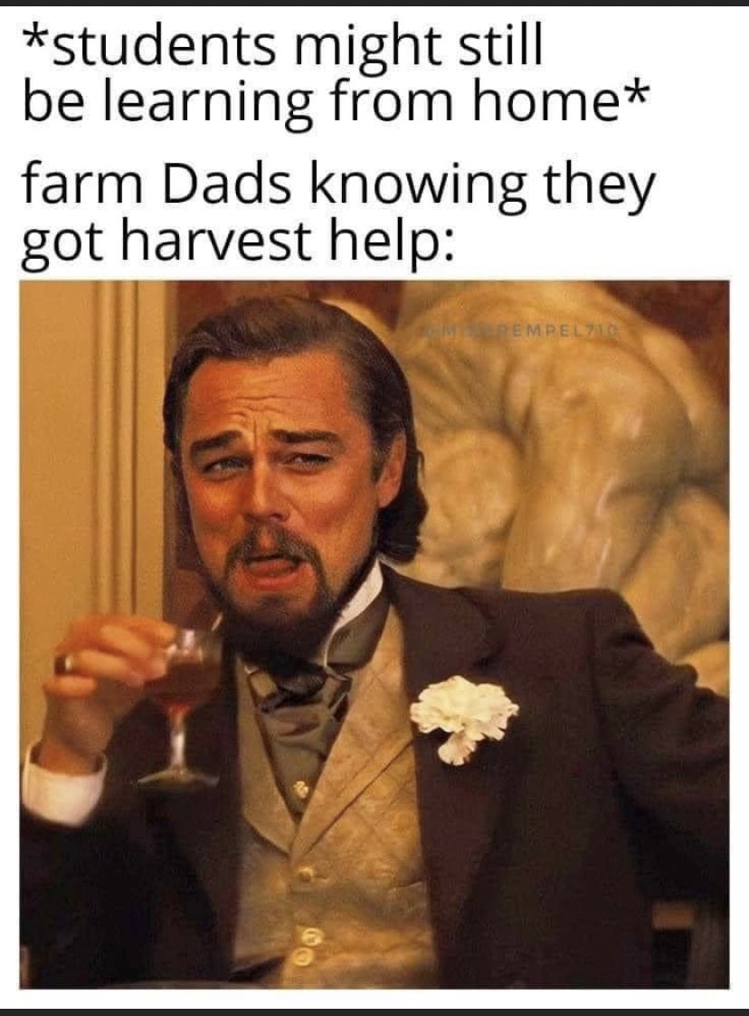 TheWittyFarmer's tweet photo. Haha https://t.co/bxbcxtGSjA