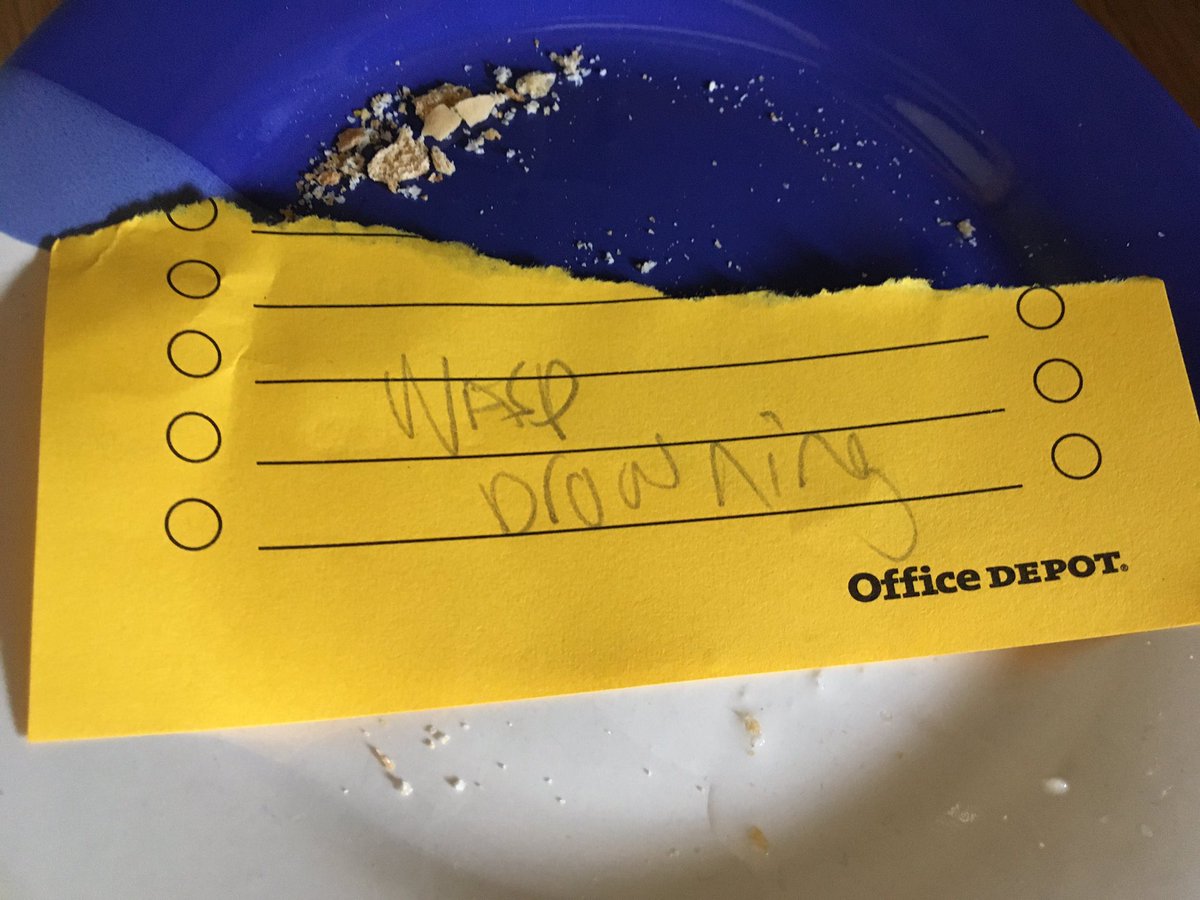 birdsrparadise's tweet image. Is this why people won’t come to@mine for play dates?😫😫 Maybe husband has a point 😫 #biologistproblems #britishwildlife #playdates #youcantakethebiologistoutofthefield #hedgehogs #hedgewatch2020