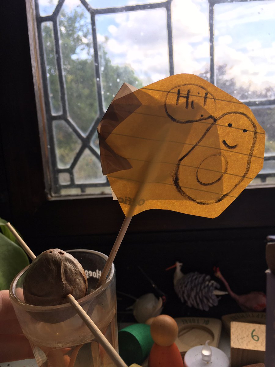 birdsrparadise's tweet image. Is this why people won’t come to@mine for play dates?😫😫 Maybe husband has a point 😫 #biologistproblems #britishwildlife #playdates #youcantakethebiologistoutofthefield #hedgehogs #hedgewatch2020